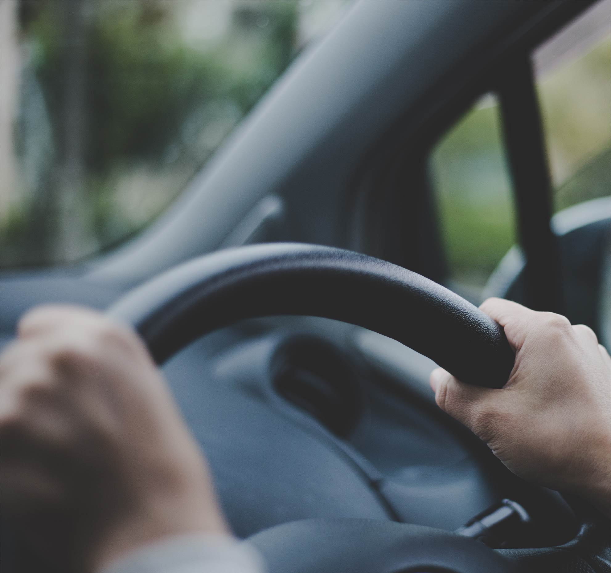 Driving along a tree-lined road